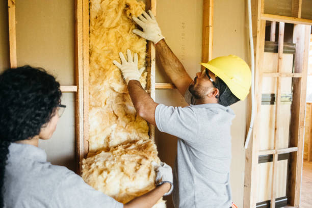 Best Insulation for New Construction  in Verdigris, OK